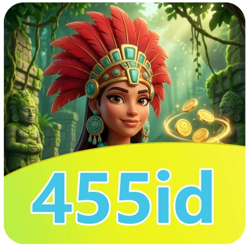 455id APK Structure